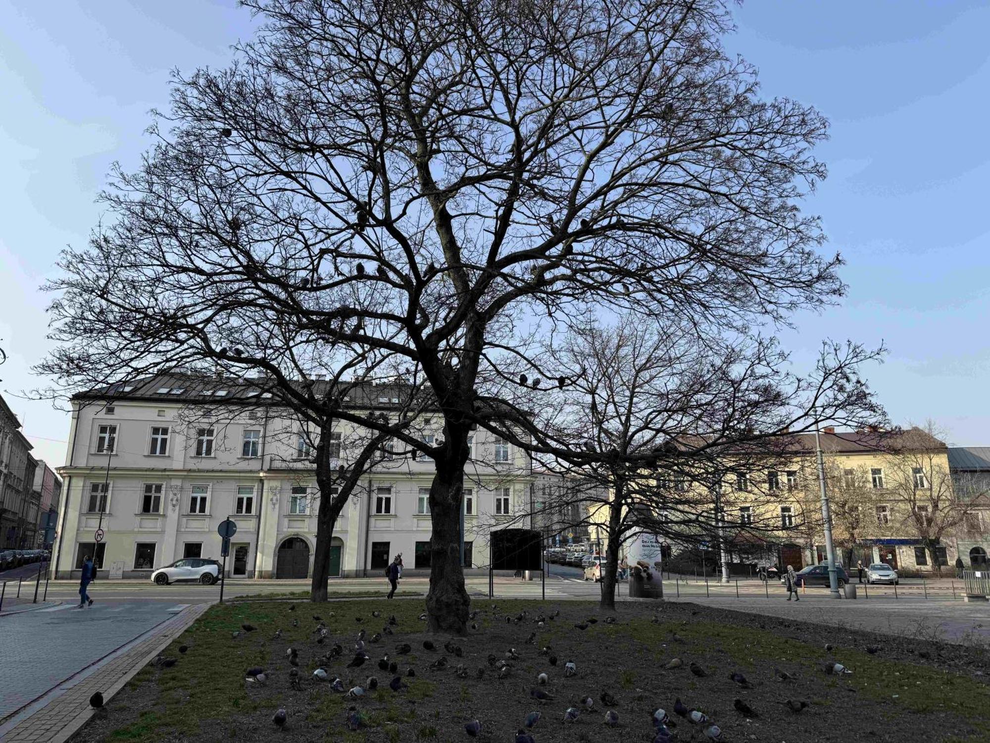 Art Apartment Stare Podgorze Free Parking Kraków Zewnętrze zdjęcie